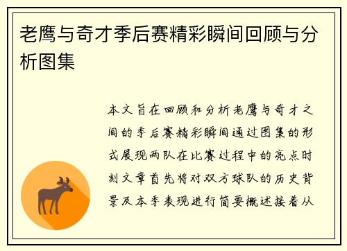 老鹰与奇才季后赛精彩瞬间回顾与分析图集