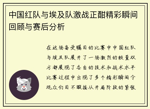 中国红队与埃及队激战正酣精彩瞬间回顾与赛后分析