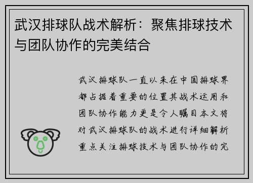 武汉排球队战术解析：聚焦排球技术与团队协作的完美结合